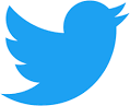 Logo icotype ou figuratif Twitter