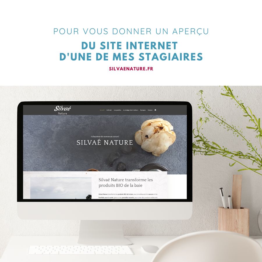 Le site internet de Silvaé Nature